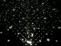 DSCN0599.jpg