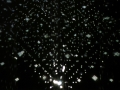 DSCN0599.jpg