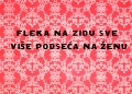 22 fleka.jpg